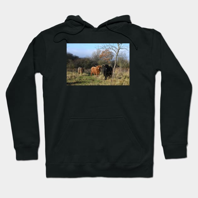 Cows Hoodie by Wolf Art / Swiss Artwork Photography